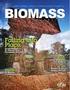 BIOMASS TRADE CENTRE II WORK PACKAGE 2: Promotion of new investments in wood biomass production