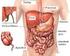 I. Explorarea pancreasului endocrin.