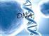 Δοµή και ιδιότητες του DNA