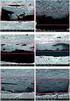 Nanocomposite coatings for enhanced barrier properties