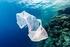 Πολιτική για την Μείωση της Πλαστικής Σακούλας στην Ελλάδα. Κυρκίτσος Φίλιππος Δρ Περιβαλλοντολόγος Πρόεδρος Οικολογικής Εταιρείας Ανακύκλωσης