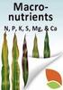 Plant Nutrition 2: Macronutrients (N, P, K, S, Mg