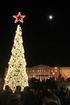 Φωταγώγηση της Πόλης και του Χριστουγεννιάτικου Δέντρου Πλατεία Γρηγόρη Αυξεντίου