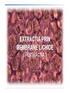 EXTRACŢIA PRIN MEMBRANE LICHIDE ( PERTRACŢIA )