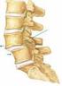 Σπονδυλόλυση και Σπονδυλολίσθηση: Δυο παθήσεις τις σπονδυλικής στήλης