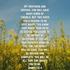 The Letter of James Bible Study Session 2 James 1:2-4 Pure Joy