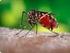 ΜΕΛΕΤΗ. «Δαπάνες για την καταπολέμηση των κουνουπιών στα πλαίσια της αντιμετώπισης του κινδύνου της ελονοσίας στο Δήμο Ευρώτα (Διαγωνισμός 2016)»