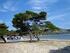 ΠΑΡΑΚΤΙΟ ΠΑΡΚΟ ΣΧΙΝΙΑ ΜΑΡΑΘΩΝΑ ΠΕΡΙΛΗΨΗ THE COASTAL PARK OF SCHINIAS MARATHON ABSTRACT