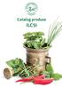 Catalog produse ILCSI