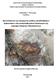 Ορυκτολογική και γεωχημική μελέτη μεταλλοφόρων εμφανίσεων στα μεταμορφωμένα πετρώματα της περιοχής Κολχικού Θεσσαλονίκης
