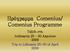 Πρόγραμμα Comenius/ Comenius Programme. Ταξίδι στη Λιθουανία Απριλίου 2009 Trip to Lithuania of April 2009