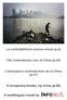La contraddittoria ascesa cinese (p.2) -