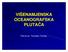 VIŠENAMJENSKA OCEANOGRAFSKA PLUTAČA. Prof.dr.sc. Tomislav Tomiša