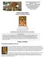 Sunday of Gregory Palamas