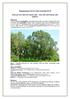Πληροφοριακό Δελτίο τύπου οικοτόπου 92A0. Στοές με Salix alba και Populus alba - Salix alba and Populus alba galleries