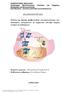 Μελέτη της δράσης φλαβονοειδών στη δραστικότητα των υποδοχέων οιστρογόνων σε καρκινικά κύτταρα παχέος εντέρου σε καλλιέργεια