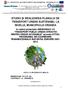 STUDIU ŞI REALIZAREA PLANULUI DE TRANSPORT URBAN SUSTENABIL LA NIVELUL MUNICIPIULUI ORADEA