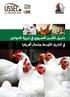 تربية الدواجن ف ال ق ا وسط وشمال أفريقيا