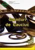 Garnituri de Cauciuc O-Ringuri Oleolite Calotă dublă Protector 17 Membrane plate şi ondulate Profile extrudate
