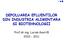 DEPOLUAREA EFLUENTILOR DIN INDUSTRIA ALIMENTARA SI BIOTEHNOLOGII. Prof.dr.ing. Lucian Gavrilă