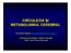 CIRCULAŢIA IA ŞI METABOLISMUL CEREBRAL. Laborator Neuroştiinţe, Catedra Fiziologie, UMF Carol Davila Bucureşti