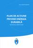 PLAN DE ACȚIUNE PRIVIND ENERGIA DURABILĂ