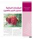 المقننات المائية لنخيل التمر بالعين