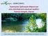 Στρατηγικός Σχεδιασμός Μάρκετινγκ ενός πολυδιάστατου φυσικού αγαθού: Πηνειός ποταμός, Λάρισα