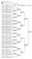 National Tournament U17,2011 MS Badminton Tournament Planner -