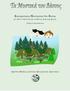 Δραστηριότητες Προσέγγισηs του Δάσους για παιδιά προσχολικής & πρώτης σχολικής ηλικίας