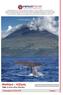 Μαδέρα Αζόρες Ταξίδι σε έναν άλλο πλανήτη. Αναχωρήσεις: 27.04, Με whale watching στον Ατλαντικό!